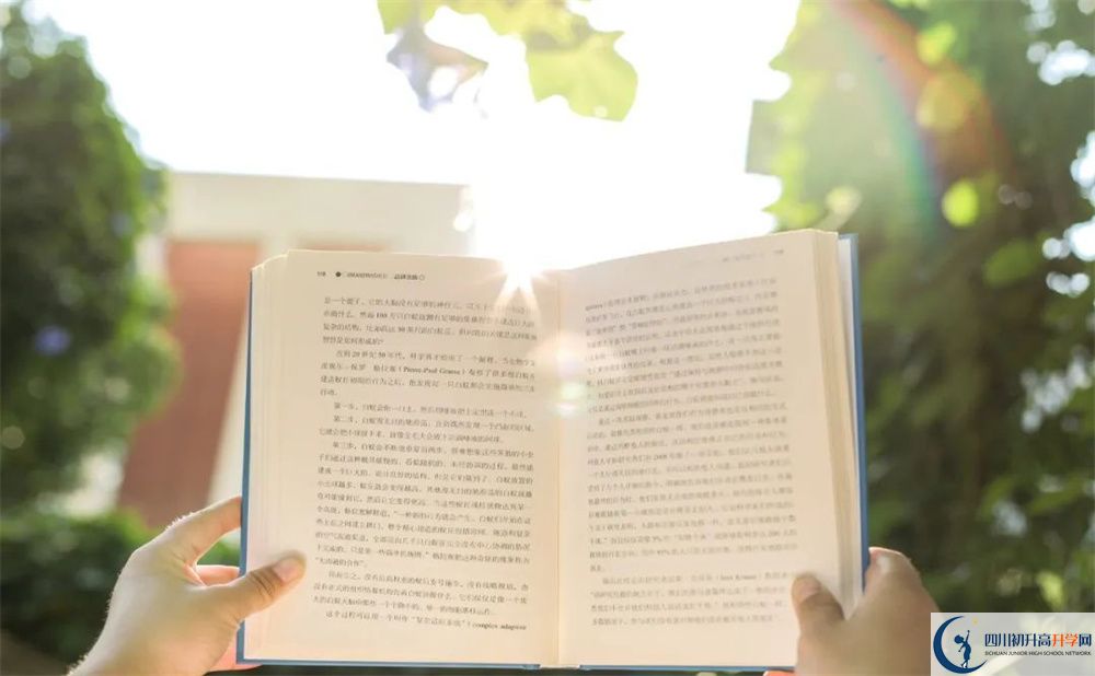 2025年攀枝花市第十二中學校網(wǎng)址是什么？