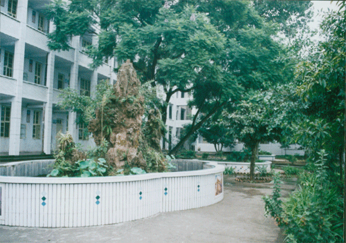 內(nèi)江十三中地址在哪？