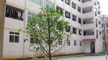 威遠(yuǎn)自強中學(xué)是民辦還是公辦學(xué)校？