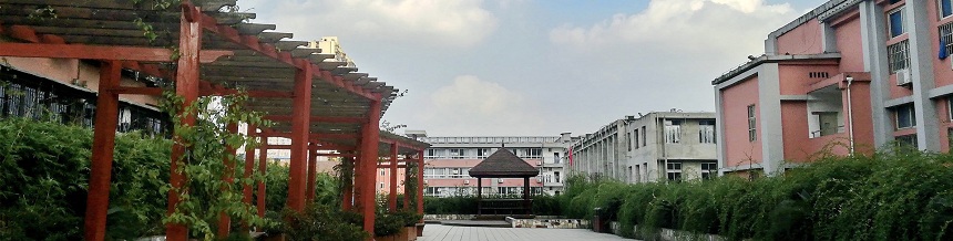成都市通錦中學(xué)2019年中考分?jǐn)?shù)線是多少？