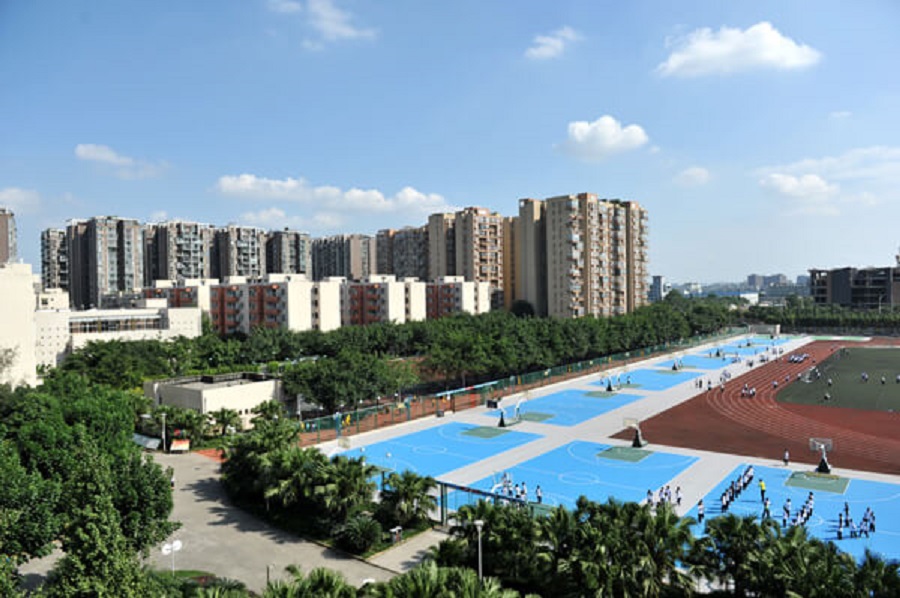 成都棠湖外國語學校2019年招生計劃出來了嗎？
