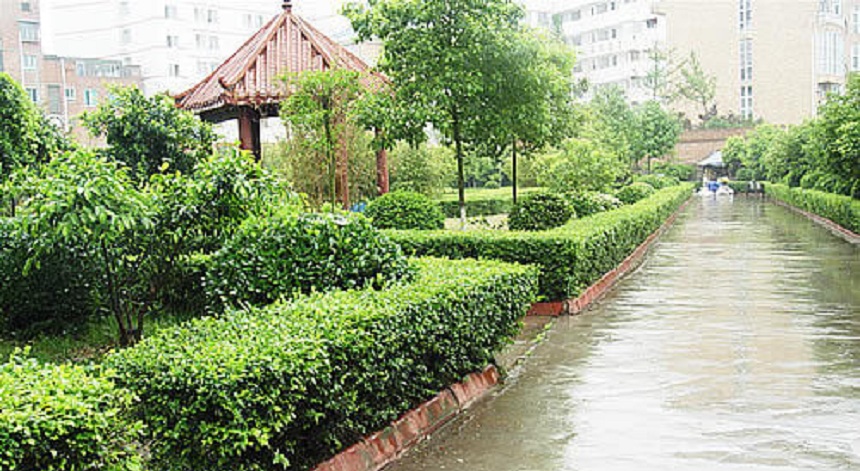 華興中學環(huán)境好不好？