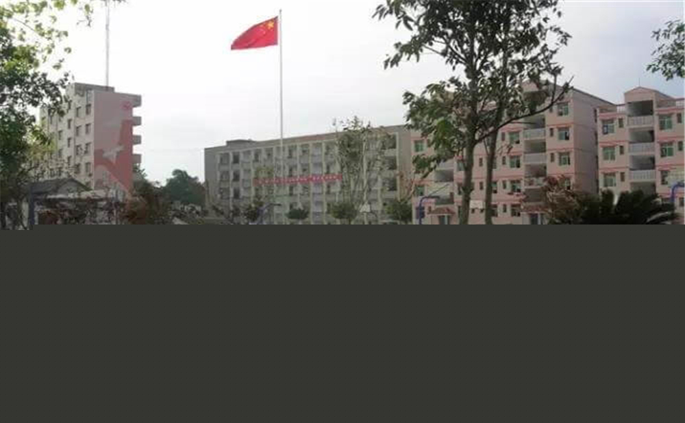 內(nèi)江市第十一中學(xué)學(xué)校招辦電話是多少？