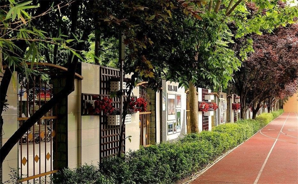 成都大學附屬中學2020年的錄取分數(shù)是多少？
