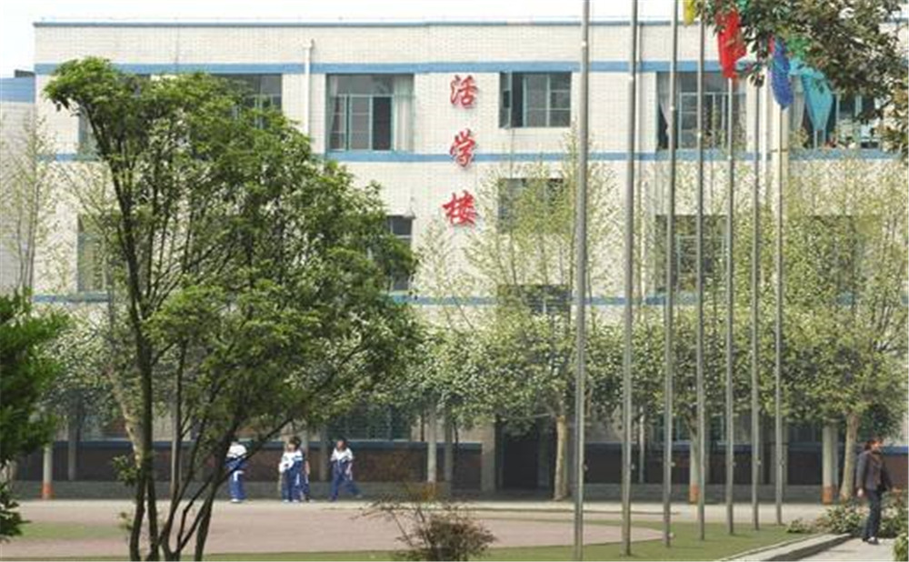 成都成飛中學(xué)2020年招生標(biāo)準(zhǔn)是多少？