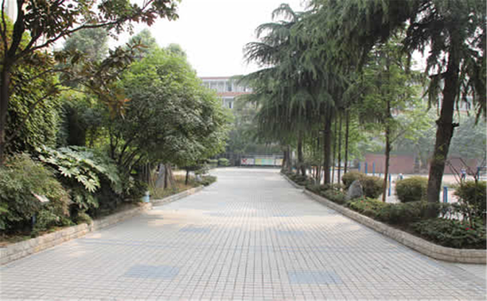 成都列五中學(xué)高中一年的學(xué)費(fèi)是多少？