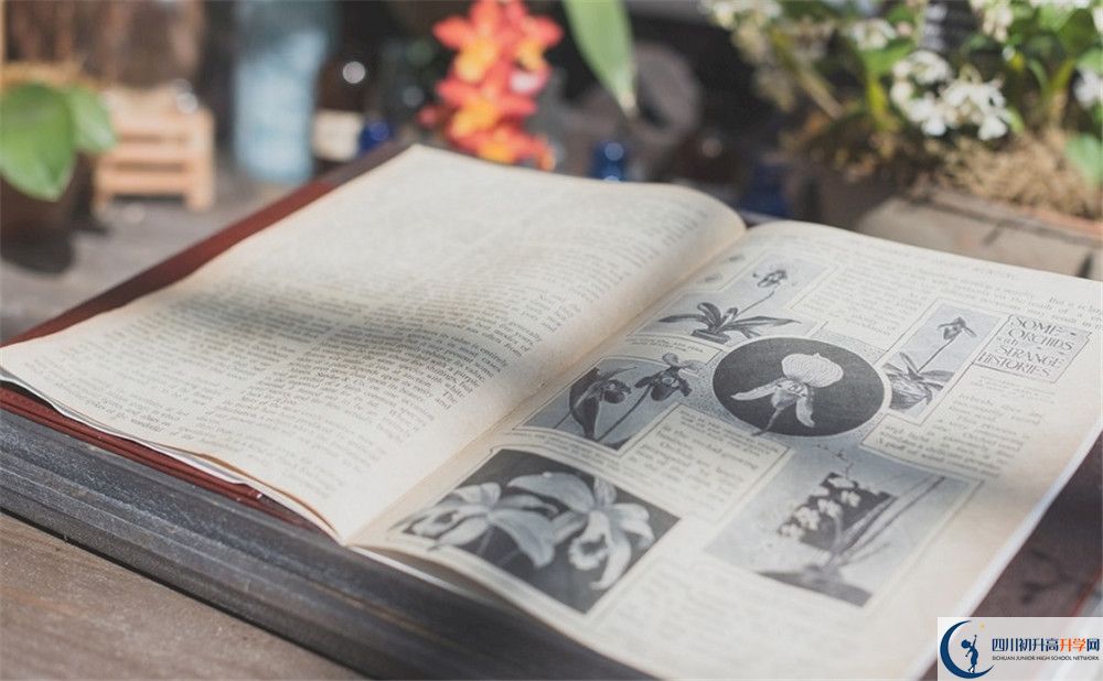 上成都實驗外國語學校的分數(shù)線是多少？