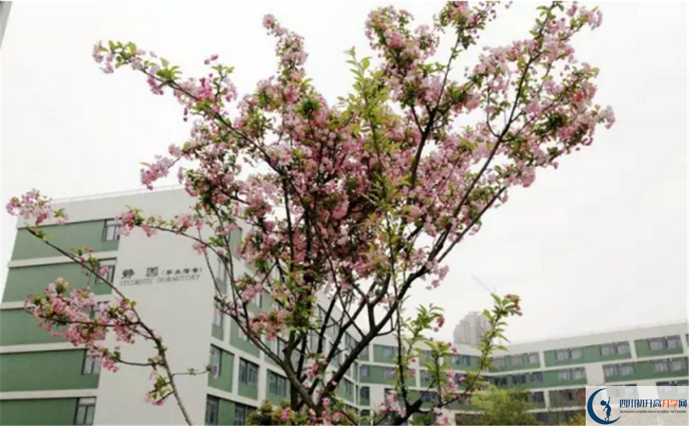 成都市田家炳中學地址怎么走？