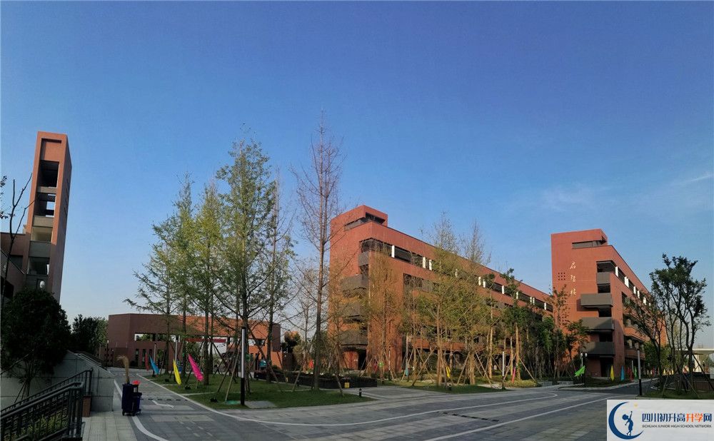 電子科技大學(xué)實(shí)驗(yàn)中學(xué)2020年清華北大錄取學(xué)生有多少？