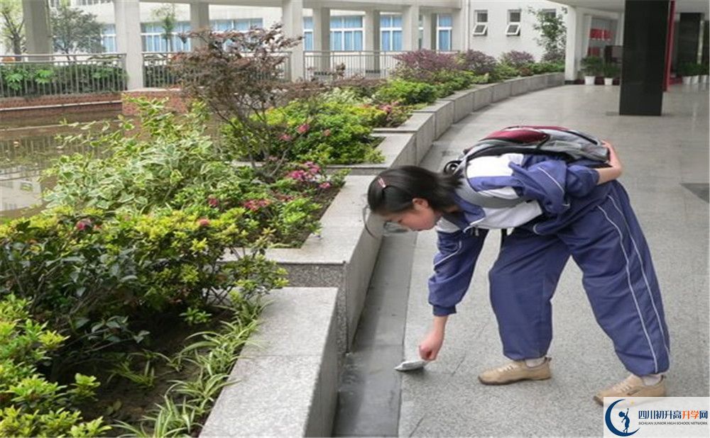 成都市龍泉中學初升高向外地招生嗎？