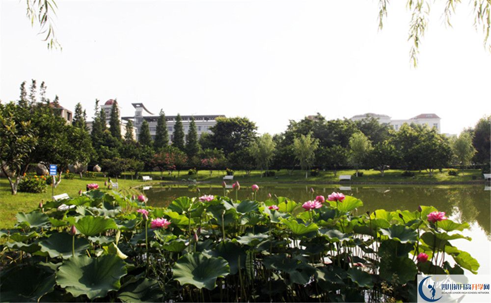 石橋中學(xué)地址怎么走？
