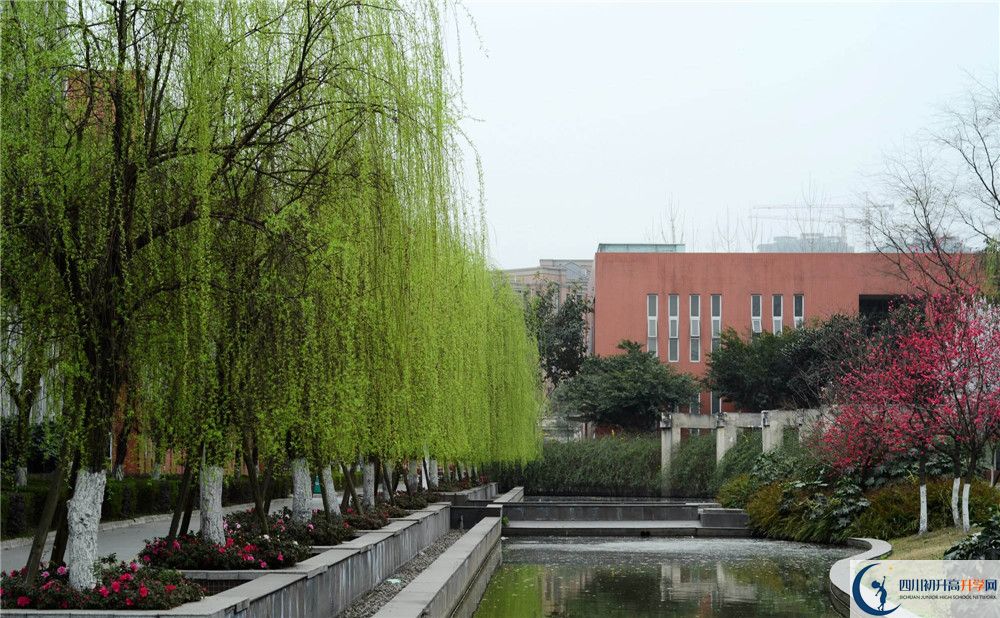 香城中學(xué)自主招生條件是什么？