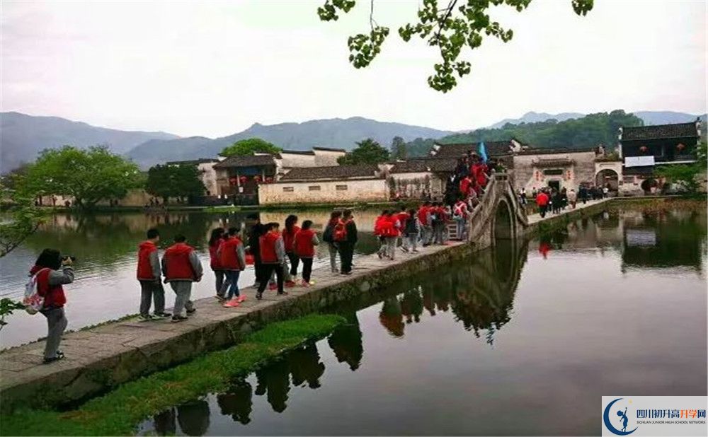 2020成都市泡桐樹中學(xué)國際部入學(xué)多少分？