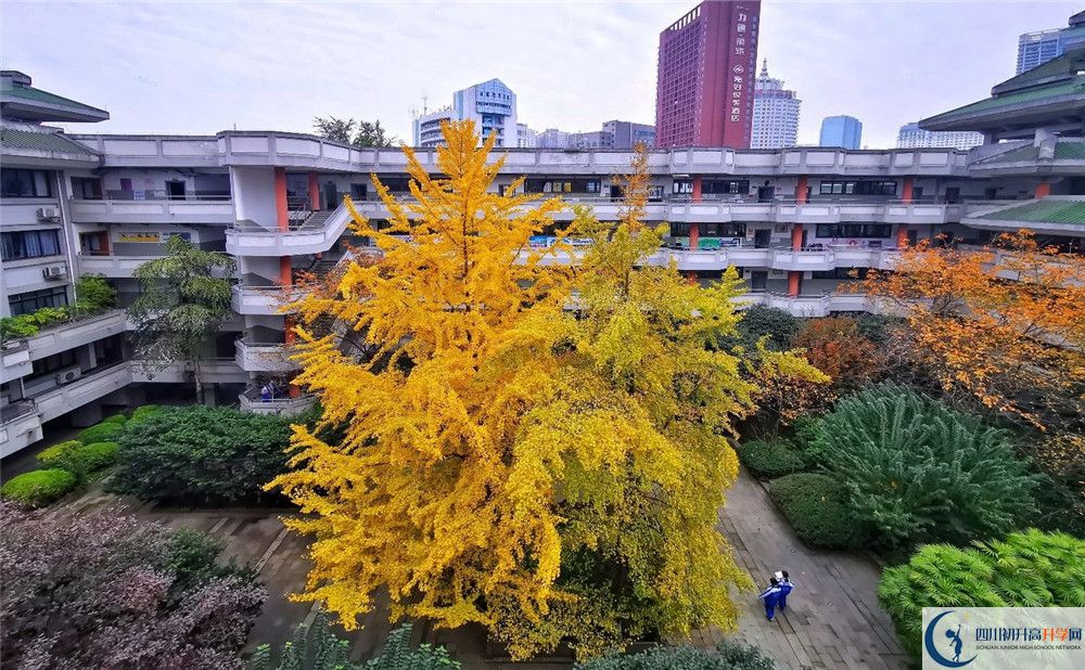 成都市泡桐樹(shù)中學(xué)2020年全國(guó)排名？
