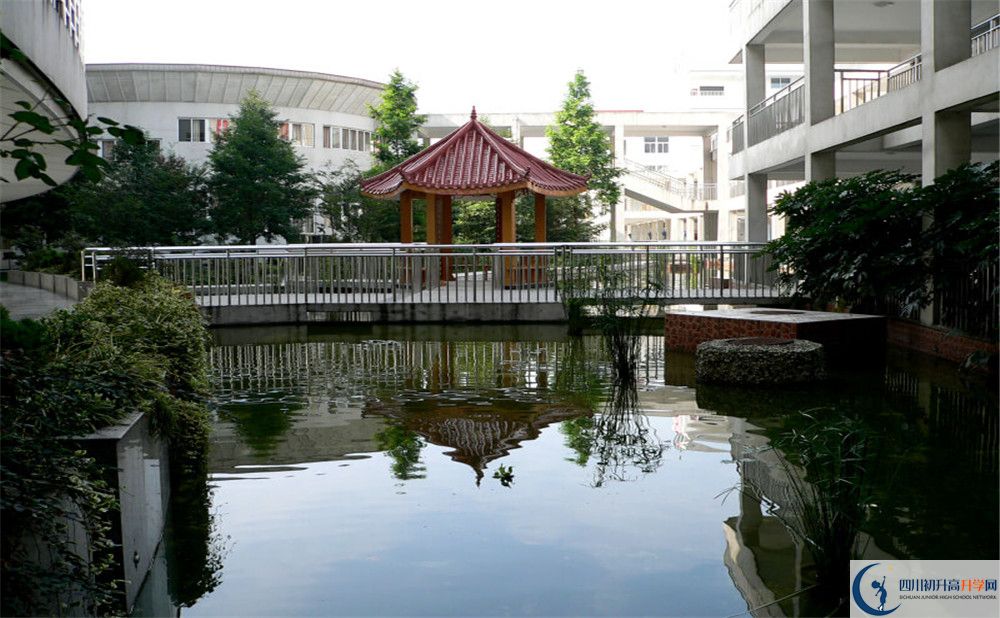 2020成都市龍泉中學(xué)高考重點(diǎn)大學(xué)升學(xué)率是多少？
