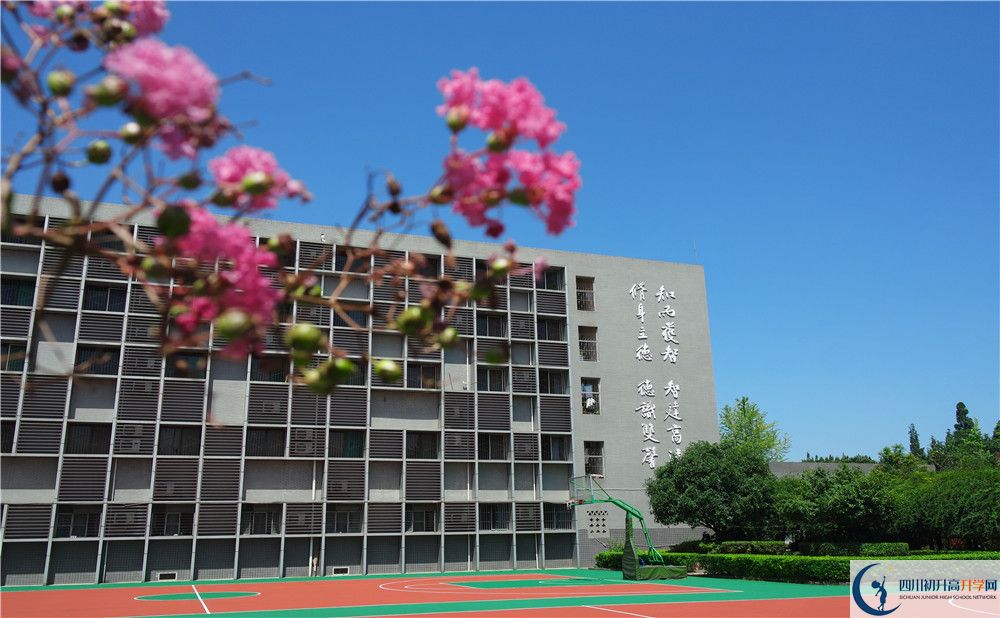 樹德博瑞實(shí)驗(yàn)學(xué)校位置在哪里？