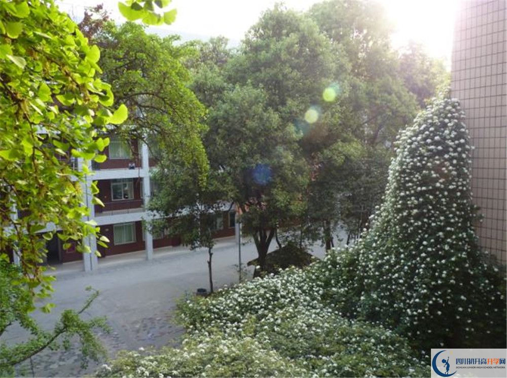 成都市石室聯(lián)中蜀華分校是私立收費嗎？