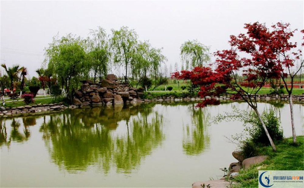 成都七中實(shí)驗(yàn)學(xué)校面向全國(guó)招生嗎？
