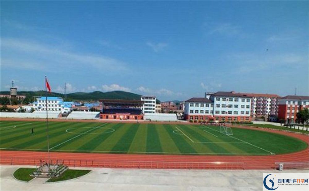 成都市華陽中學(xué)2020年高考人數(shù)是多少？