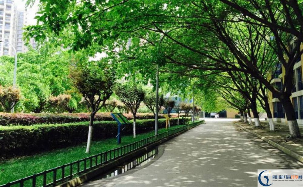 成都七中實(shí)驗(yàn)學(xué)校2020年開學(xué)時(shí)間安排是怎樣的？