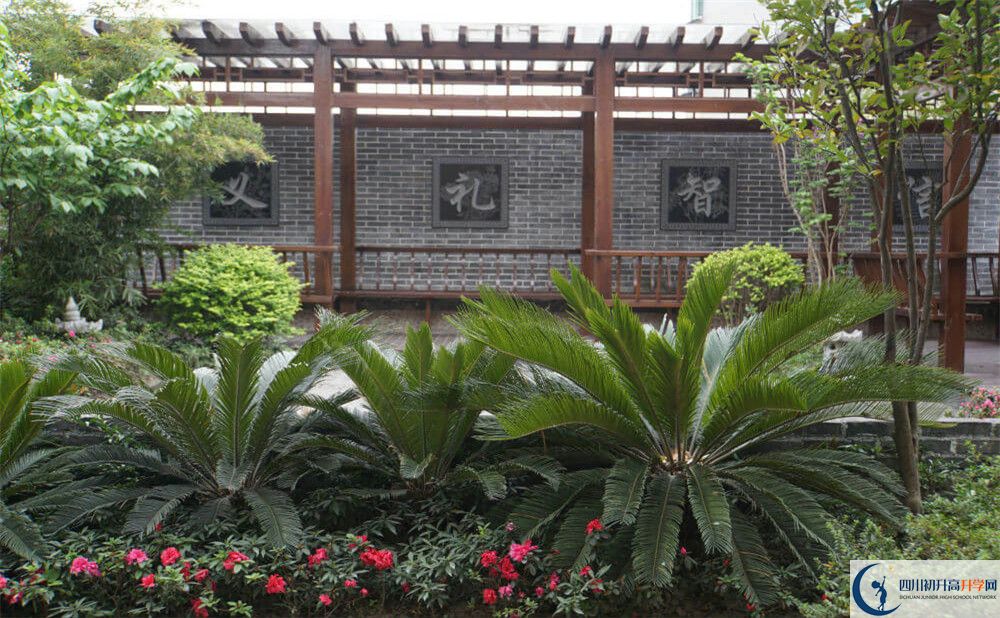 2020成都八中考自主招生條件是什么，有何變化？