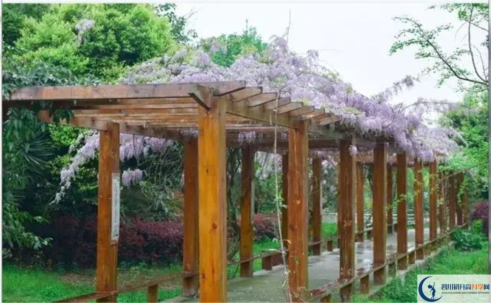 廣安花橋中學(xué)高三診斷考試時(shí)間怎么安排？
