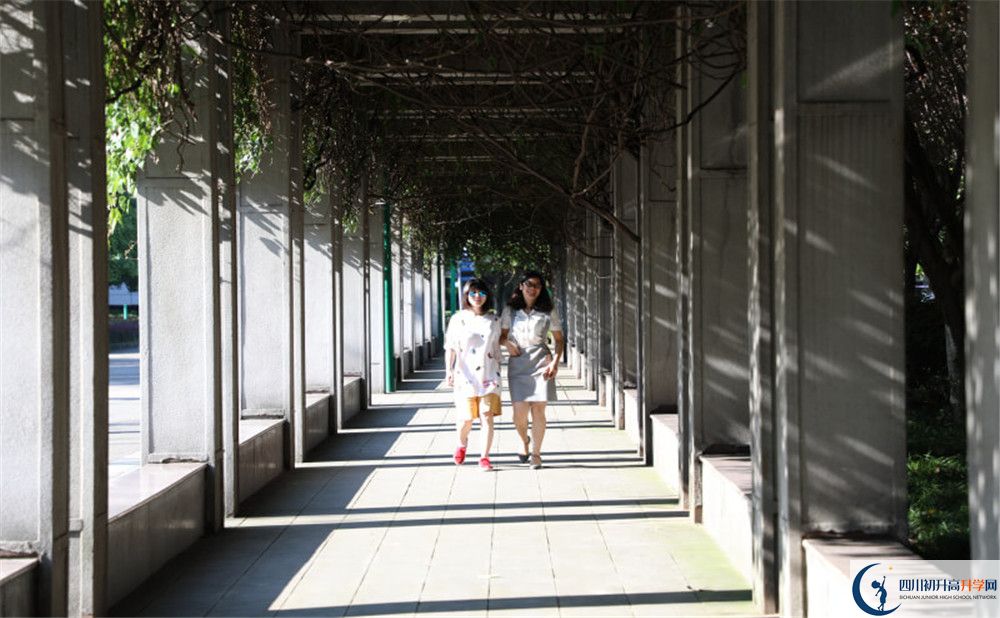 成都市龍泉中學2020年升學率高不高？