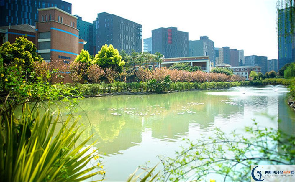 成都美視國際2020年怎么報名？