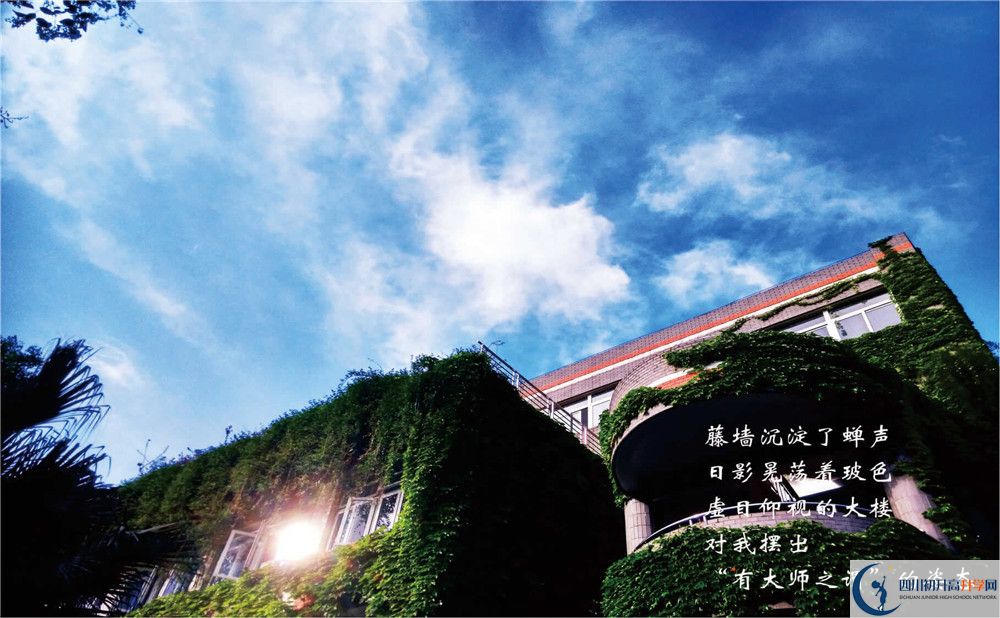 七中高新校區(qū)2020年招生計劃是什么？
