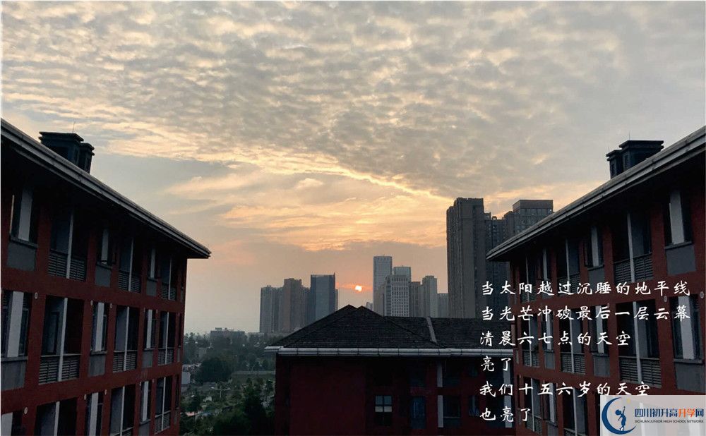七中高新2020年招生條件是什么？