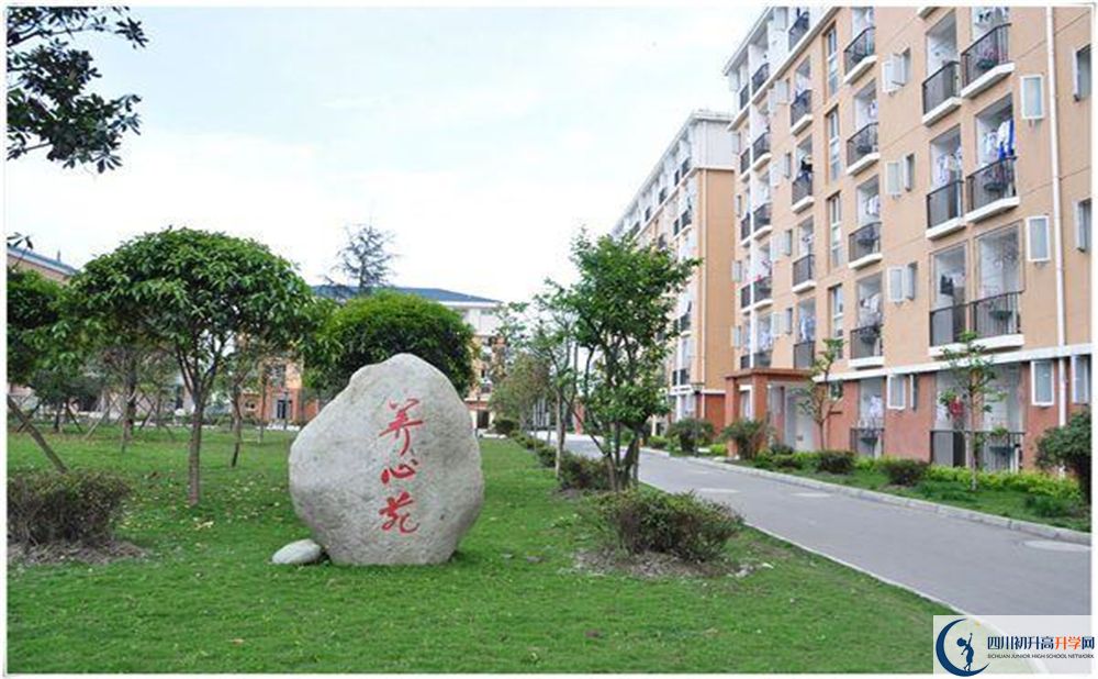 八一聚源高級中學2020年怎么樣？