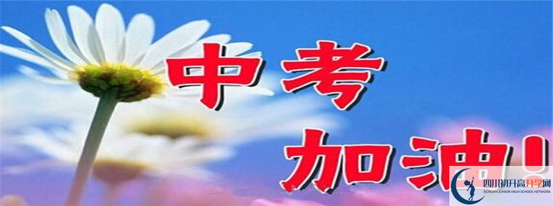 雙流中學實驗學校國際部怎么樣？